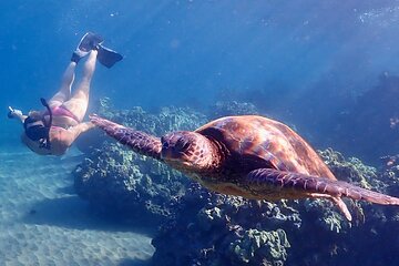 Sea turtle swimming with woman