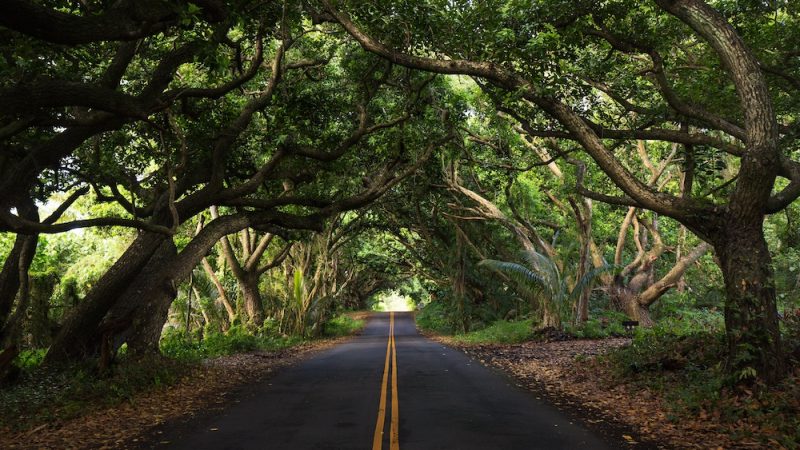 Road To Hana