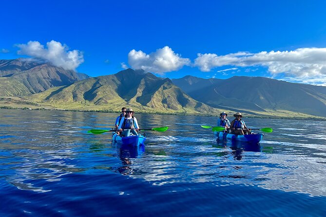 Olowalu Whale Watch Kayak and Snorkel Tour with Photos and Video