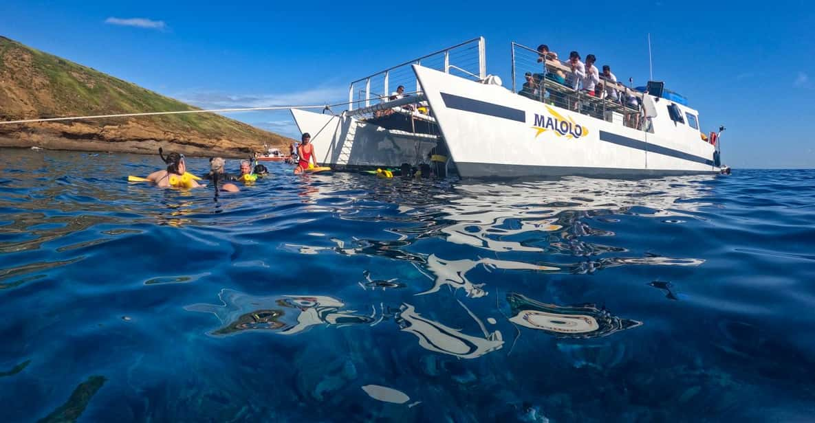 South Maui: PM Snorkel to Coral Gardens or Molokini Crater