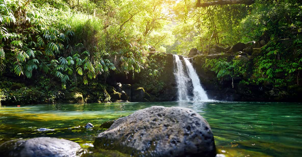 Maui: 3-Hour Rainforest & Waterfall Adventure for Families