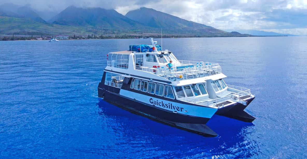 Maui: 2-Hour Whale Watching Cruise from Lahaina Harbor