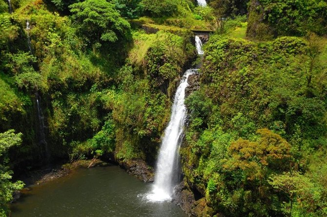 Hana Waterfalls, Black Sand Beach, and Turtles Tour