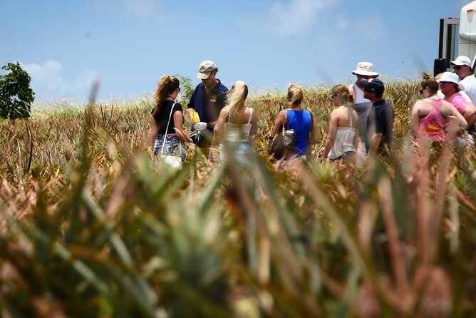 Maui Pineapple Tour